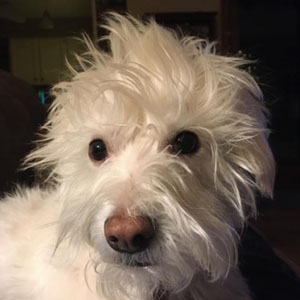 Lucy